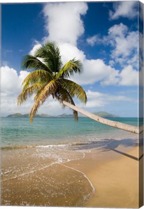 Framed Coconut Grove Beach, Cades Bay, St Kitts, Caribbean Print