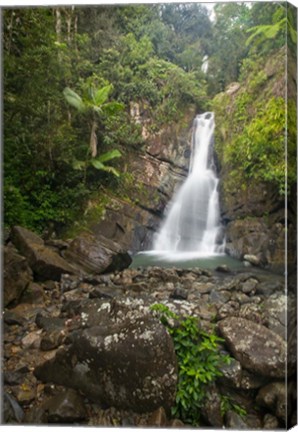 Framed Puerto Rico, El Yunque, La Mina Waterfalls Print