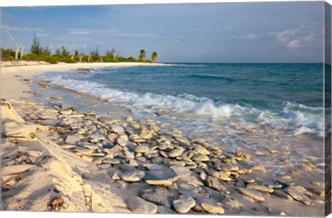 Framed Waves, Coral, Beach, Punta Arena, Mona, Puerto Rico Print