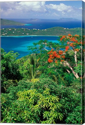 Framed Magens Bay, St Thomas, Caribbean Print