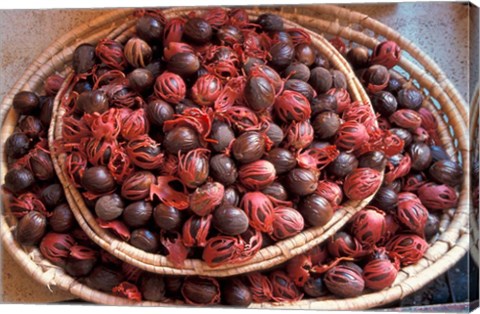 Framed Nutmeg in Public Market, Castries, Caribbean Print