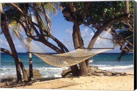 Framed Hammock tied between trees, North Shore beach, St Croix, US Virgin Islands Print