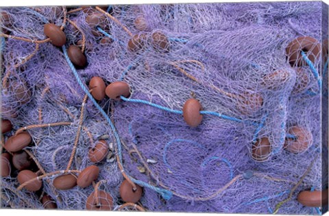 Framed Fishing Nets on Grand Anse, Martinique, Caribbean Print