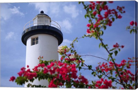 Framed Puerto Rico, Viegues Island, lighthouse of Rincon Print