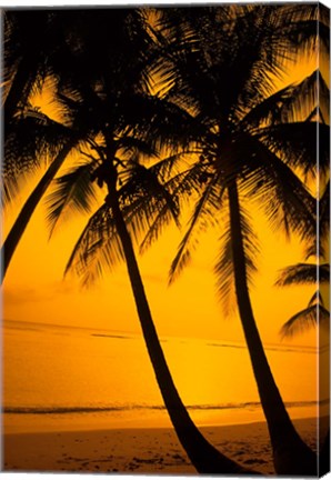 Framed Sunset and Palms, San Juan, Puerto Rico Print