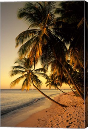 Framed Beach at Sunset, Trinidad, Caribbean Print