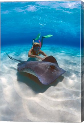 Framed Stingray City, Grand Cayman, Cayman Islands, Caribbean Print