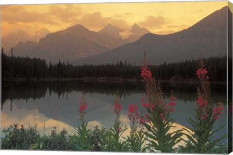 Framed Alberta, Banff, Lake Herbert, Canadian Rockies Print