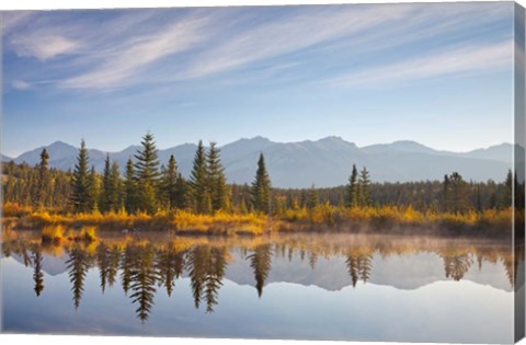 Framed Canada, Alberta, Jasper National Park Scenic of Cottonwood Slough Print