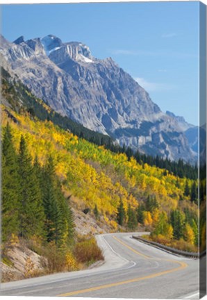 Framed Canada, Alberta, Jasper NP Scenic of The Icefields Parkway Print