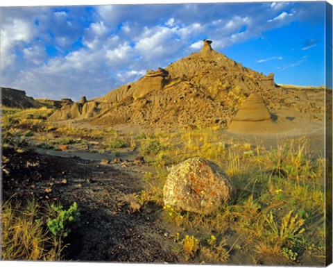 Framed Dinosaur Provincial Park in Alberta, Canada Print