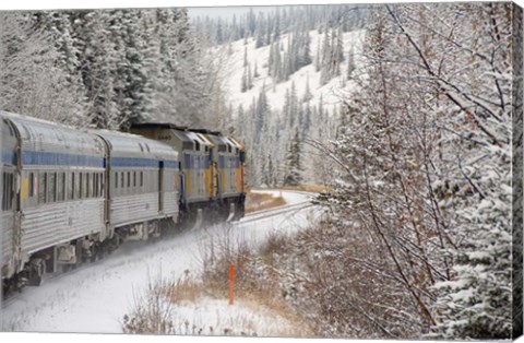 Framed Via Rail Snow Train Between Edmonton &amp; Jasper, Alberta, Canada Print