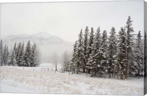 Framed Winter Views from Train, Alberta, Canada Print