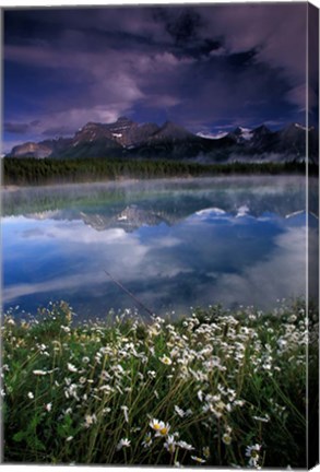 Framed Alberta, Banff National Park Lake Maligne wildflowers Print