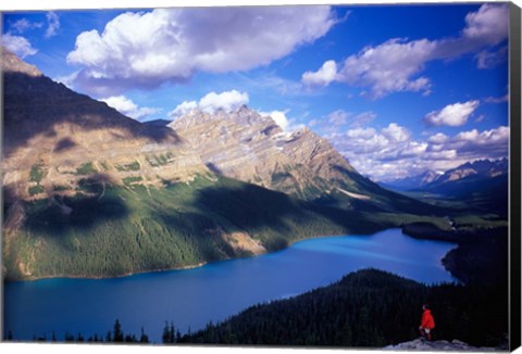 Framed Hiker Overlooking Peyto Lake, Banff National Park, Alberta, Canada Print