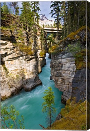 Framed Athabasca Falls, Jasper National Park, Alberta, Canada Print