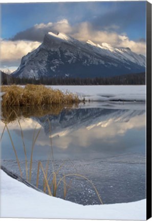 Framed Mount Rundle, Vermillion Lake, Banff NP, Alberta Print