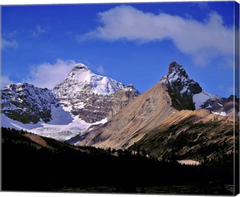 Framed Alberta, Mt Saskatchewan, Banff NP Print