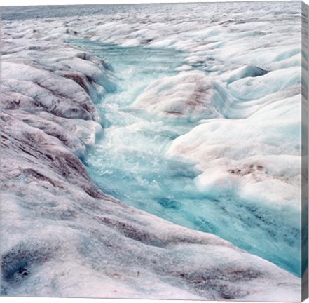 Framed Athabasca Glacier, Columbia Icefields, Alberta Print