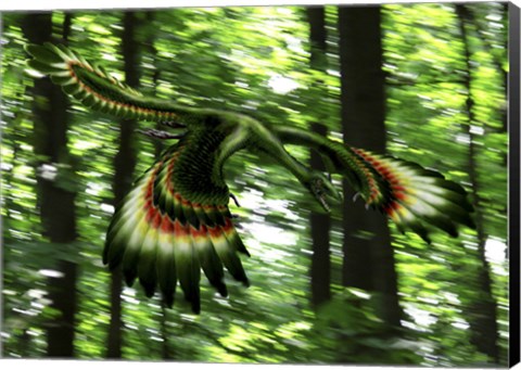 Framed Archaeopteryx flying through a forest Print