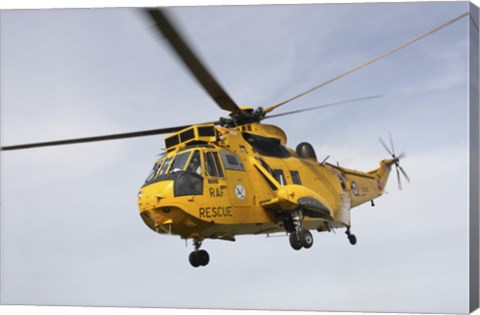 Framed Westland WS-61 Sea King helicopter of the Royal Air Force Print