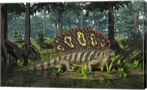 Framed Edaphosaurus forages in a brackish mangrove like swamp Print