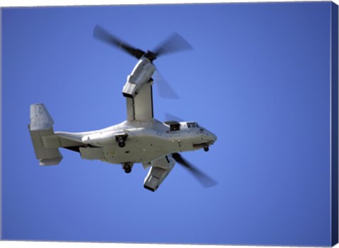 Framed Osprey tiltrotor aircraft in flight Print