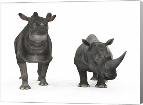 Framed adult Brontotherium compared to a modern adult White Rhinoceros Print