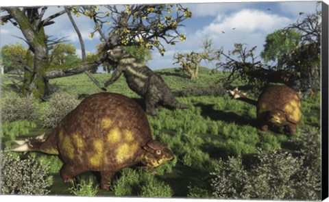 Framed Prehistoric glyptodonts graze on grassy plains An Eremotherium is in the background Print