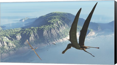 Framed Species from the genus Anhanguera soar 105 million years ago over what is today Brazil Print