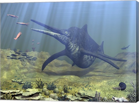 Framed massive Shonisaurus attempts to make a meal of a school of squid-like Belemnites Print