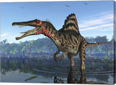 Framed Spinosaurus searches for its next meal Print