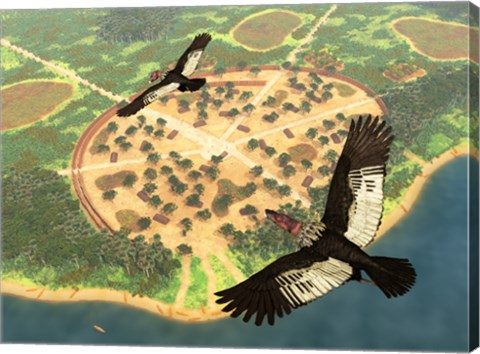 Framed pair of Andean Condors fly over an Amazonian village Print