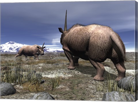 Framed pair of male Elasmotherium confront one another Print