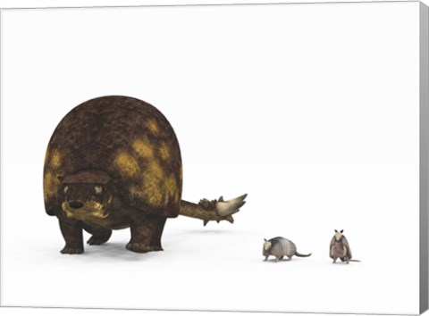 Framed Doedicurus glyptodont compared to modern armadillos Print