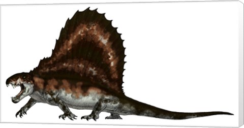 Framed Dimetrodon, a Synapsid that was an Apex Pradator Print