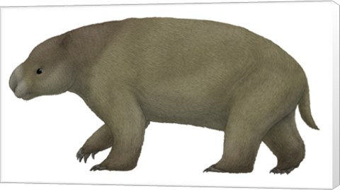 Framed Diprotodon, the Largest know Marsupial Print