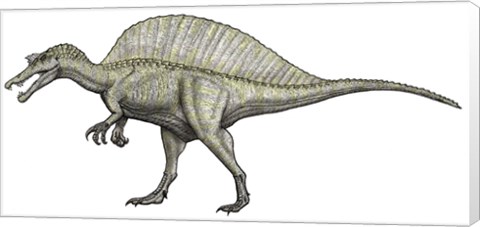 Framed Albino Spinosaurus Print