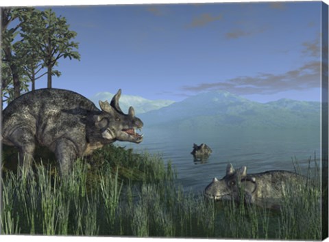 Framed Three Estemmenosuchus Mirabilis Face off in a Paleozoic Lake Print