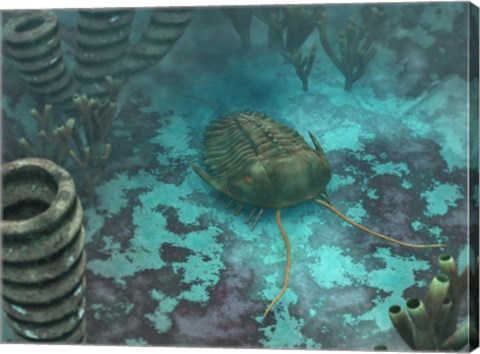 Framed Olenoides Trilobite Scurries across a Middle Cambrian Ocean Floor Print