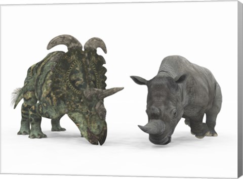 Framed Adult Albertaceratops Compared to a Modern adult White Rhinoceros Print