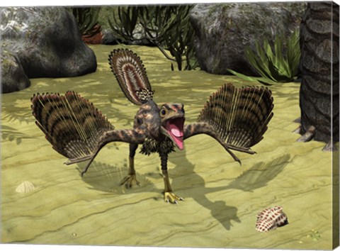 Framed Archaeopteryx Depicted near the Shore of the Tethys Sea Print