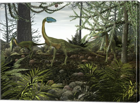 Framed Coelophysis Dinosaurs Walk Amongst a Forest Print