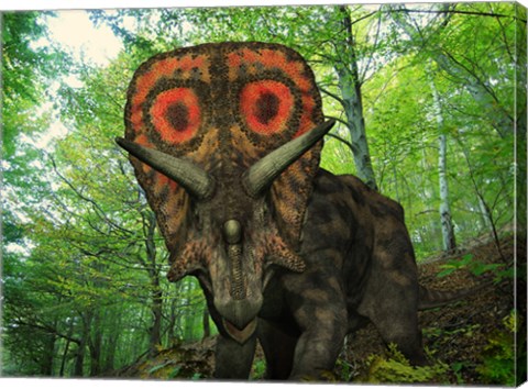 Framed Colorful Torosaurus Wanders a Cretaceous Forest Print