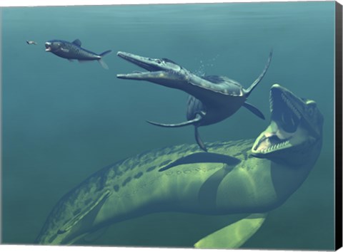 Framed Marine Predators of the Cretaceous Period Print