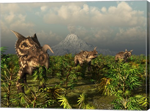 Framed Herd of Plant-Eating Einiosaurus Roam the Plains Print