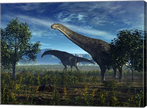 Framed Isisaurus Dinosaurs Wander Lush Plains Print
