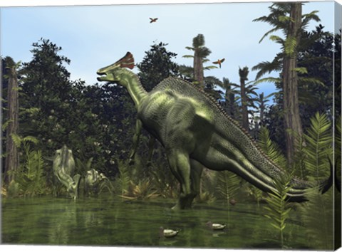 Framed Lambeosaurus Rears onto its Hind Legs in Response to a Threat Print