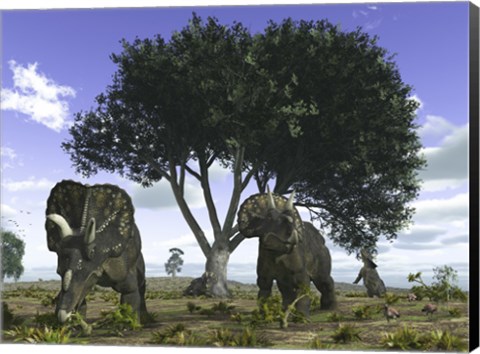 Framed Nedoceratops Graze Beneath a Giant Oak Tree Print