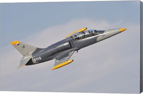 Framed Czech Air Force AERO L-39C Albatros Jet Trainer Print